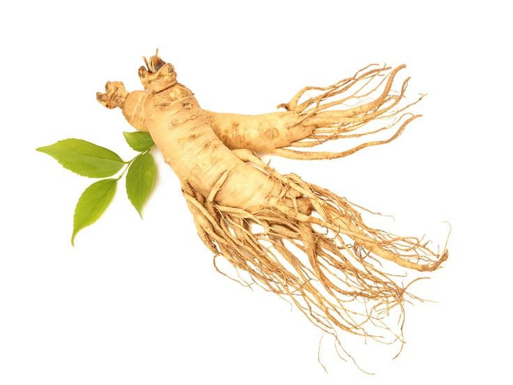 Ginseng